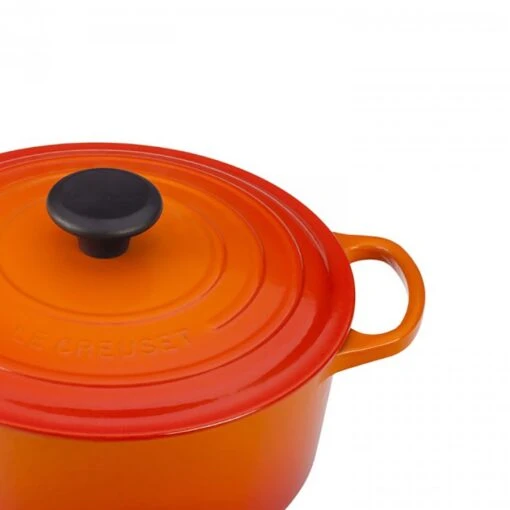 Le Creuset Cookware - Round French/Dutch Oven, 24cm, 4.2L -Kitchen Appliances Sale 7LEFLEC0030 002 1